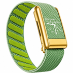 Luxeband Vantage Gold — Forest Green