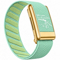 Luxeband Vantage Gold — Mint Green